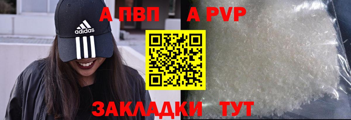 Alfa_PVP СК КРИС Ачхой-Мартан