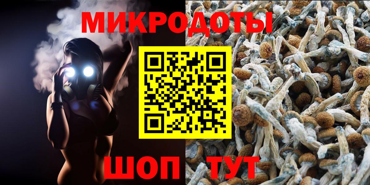 Галлюциногенные грибы Cubensis Ачхой-Мартан