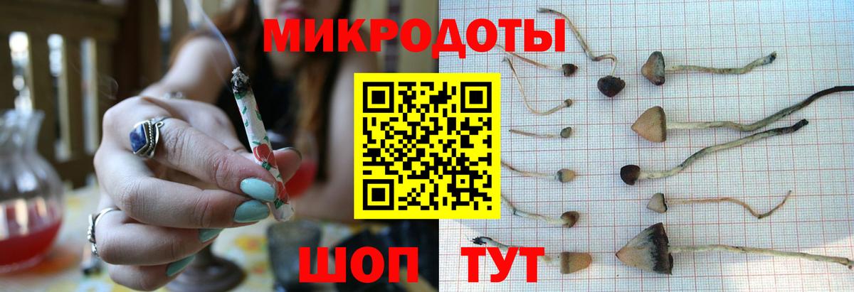 Псилоцибиновые грибы прущие грибы  Вход с VPN  Ачхой-Мартан 